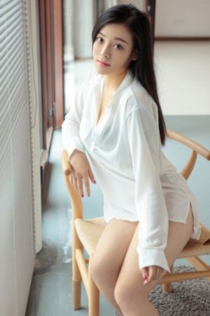 希德尼娅的骑士第二季