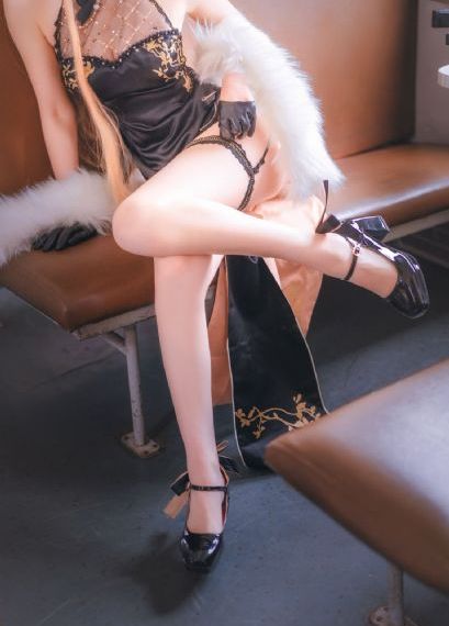 淑女的欲望