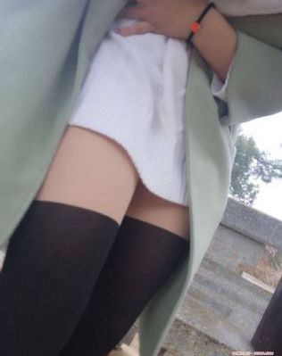 如果历史是一群喵全集免费观看