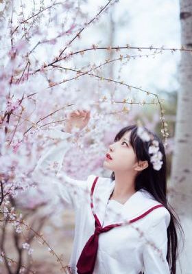 娃娃脸3
